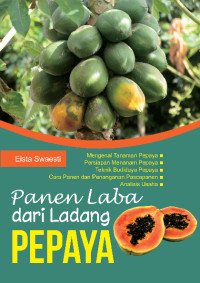 Image of Panen Laba Dari Ladang Pepaya